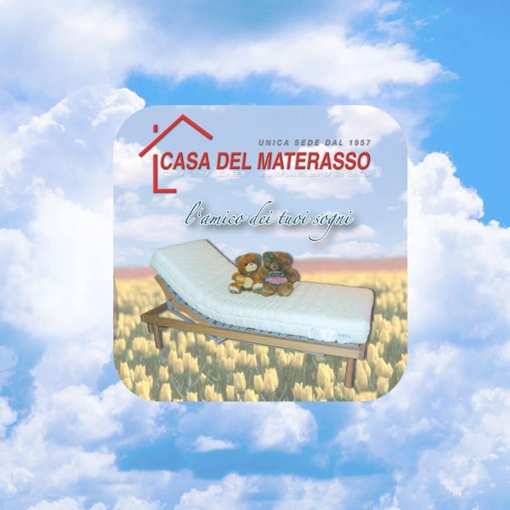 Foto pubblicità campi tulipani7